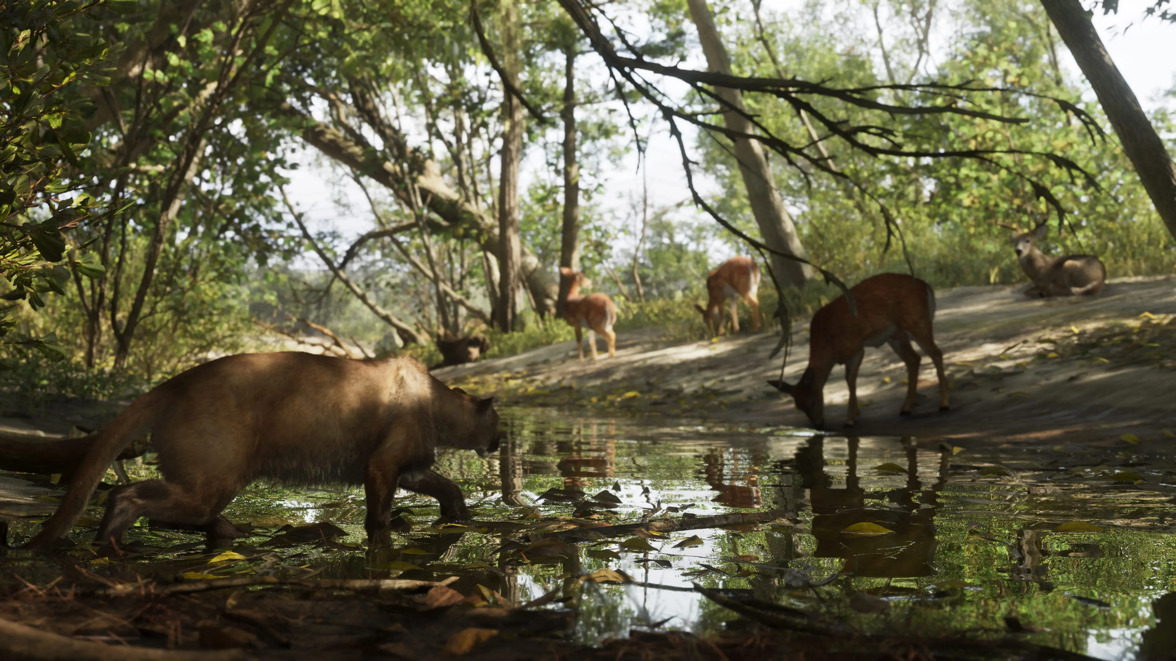 Mount Kalaga National Park — official location screenshot